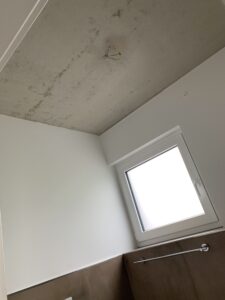 Betondecke vor dem Einbau der weißen Lackspanndecke.